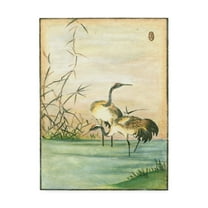 Trademark Fine Art 'Oriental Cranes II' Canvas Art by Vision Studio