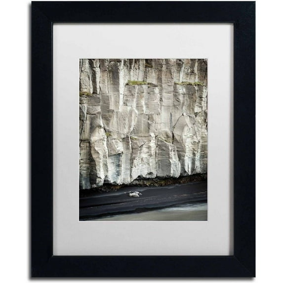 Trademark Fine Art 'Origami' Canvas Art by Philippe Sainte-Laudy, White Matte, Black Frame