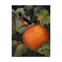 Trademark Fine Art 'Oriole And Pumpkin' Canvas Art by Marcia Matcham