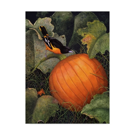 Trademark Fine Art 'Oriole And Pumpkin' Canvas Art by Marcia Matcham