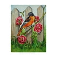thumbnail image 1 of Trademark Fine Art 'Oriole Bird' Canvas Art by Charlsie Kelly, 1 of 3