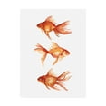 thumbnail image 1 of Trademark Fine Art 'Ornamental Goldfish III' Canvas Art by Emma Scarvey, 1 of 3