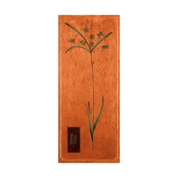 Trademark Fine Art 'Ornamental Grass On Orange' Canvas Art by Pablo Esteban