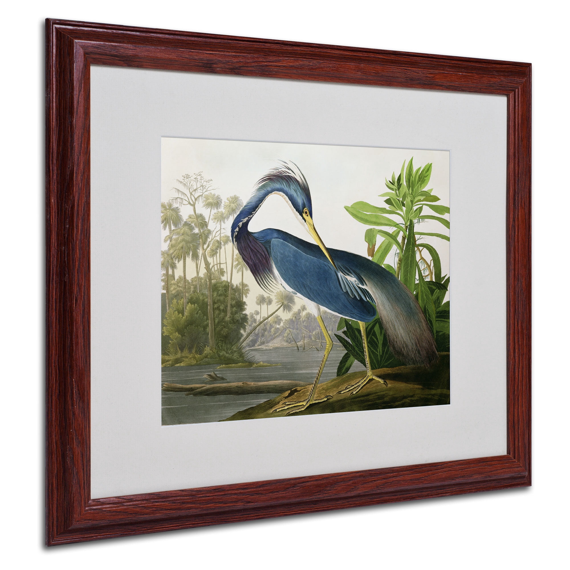 Trademark Fine Art Ornithology Canvas Art ' Louisiana Heron ' by John James Audubon