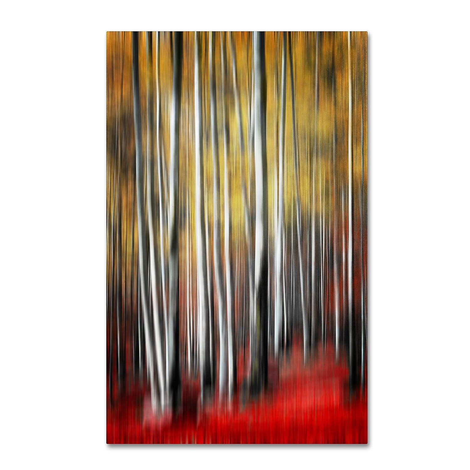 Trademark Fine Art "Osmosis" Canvas Art by Philippe Sainte-Laudy