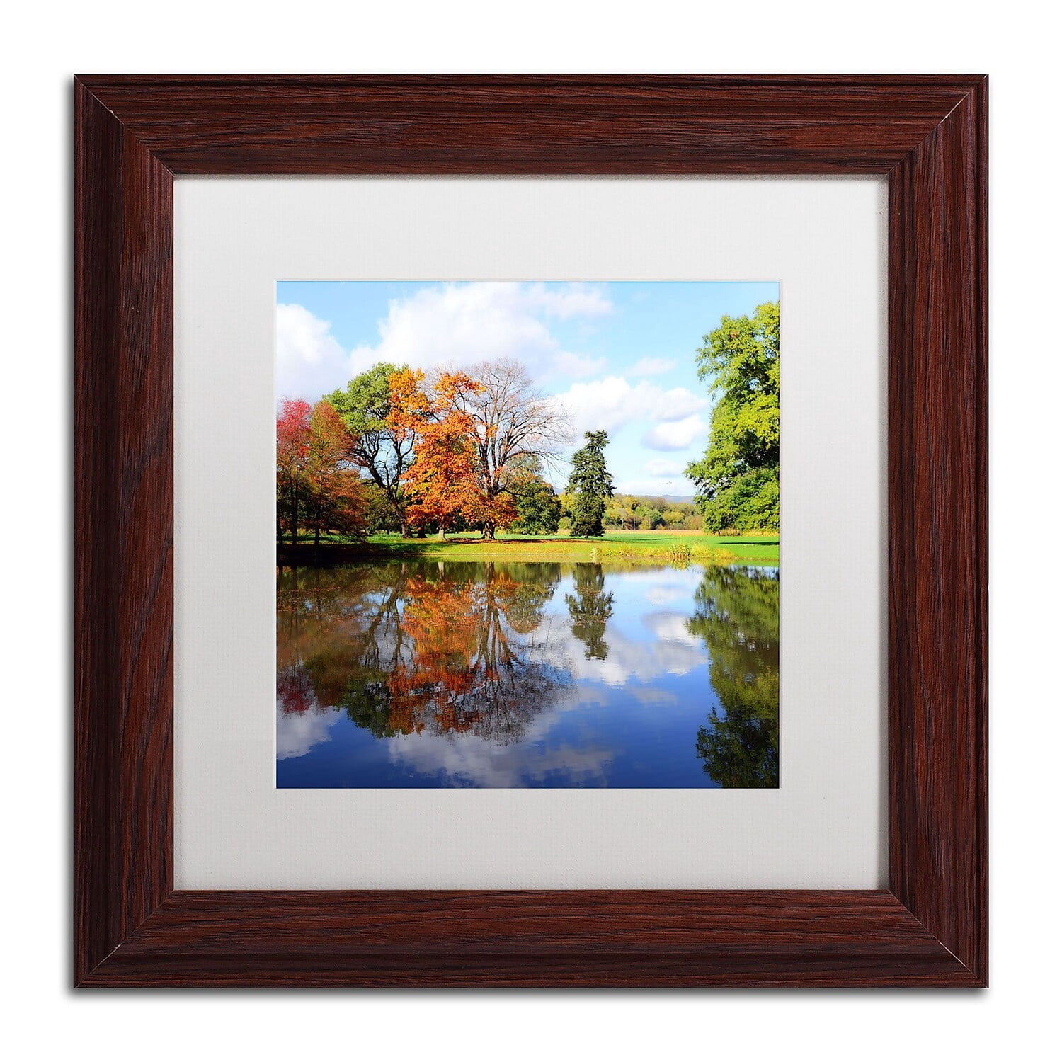 Trademark Fine Art "Otherworldly" Canvas Art by Philippe Sainte-Laudy, White Matte, Wood Frame