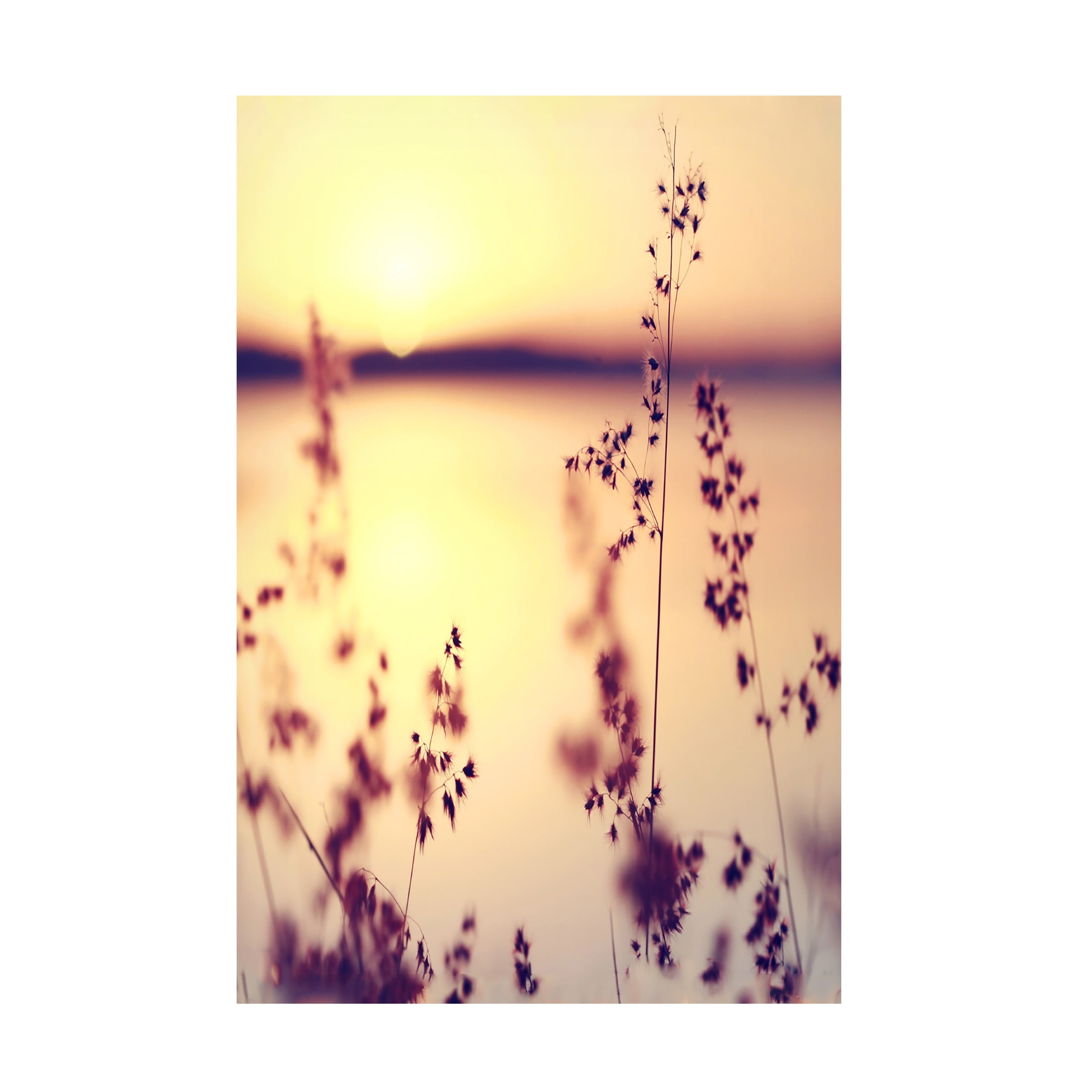 Trademark Fine Art "Our Happy Moments" Canvas Art by Beata Czyzowska Young