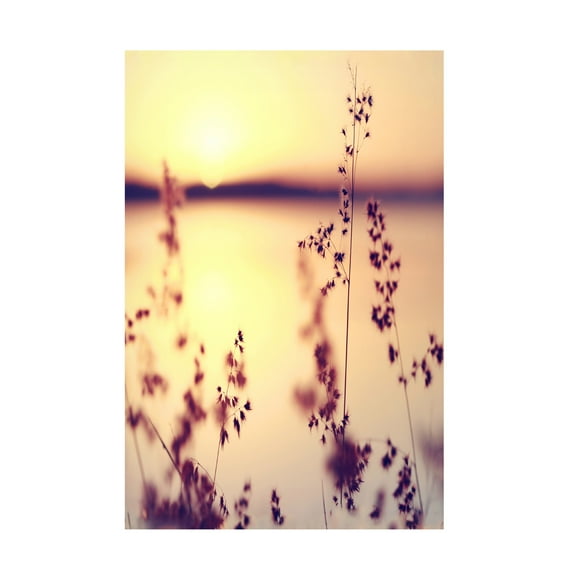 Trademark Fine Art "Our Happy Moments" Canvas Art by Beata Czyzowska Young