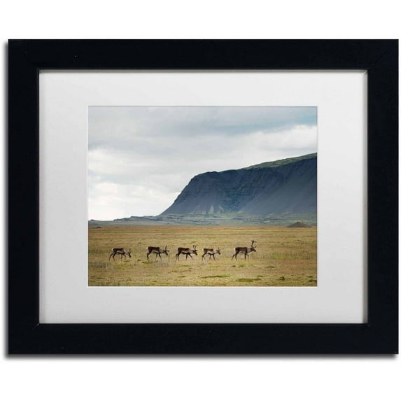 Trademark Fine Art 'Our World' Canvas Art by Philippe Sainte-Laudy, White Matte, Black Frame