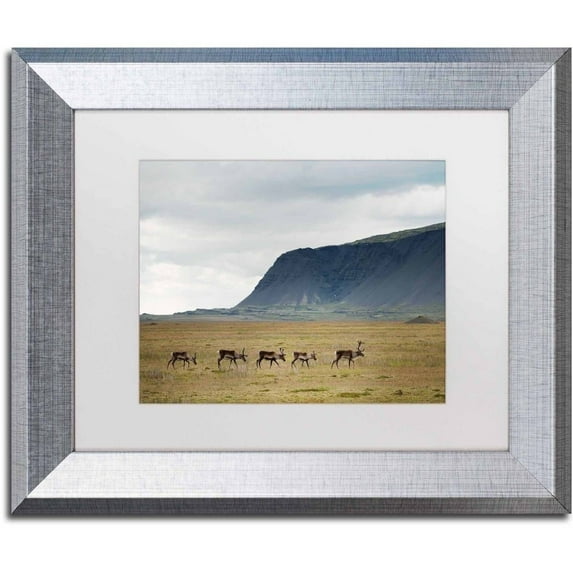 Trademark Fine Art 'Our World' Canvas Art by Philippe Sainte-Laudy, White Matte, Silver Frame