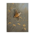 thumbnail image 1 of Trademark Fine Art 'Out Of Cover' Canvas Art by Wilhelm Goebel, 1 of 3
