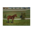 thumbnail image 1 of Trademark Fine Art 'Out Standing In His Field Oil Paint' Canvas Art by Galloimages Online, 1 of 3