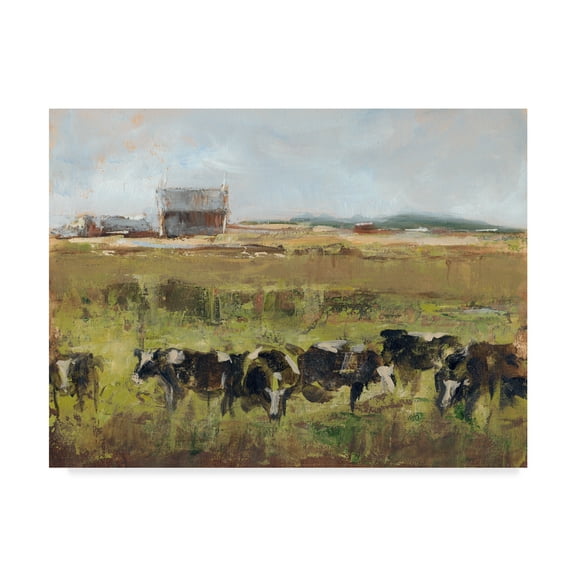 Trademark Fine Art 'Out to Pasture I' Canvas Art by Ethan Harper
