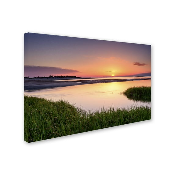 Trademark Fine Art 'Out to Sea' Canvas Art by Michael Blanchette Photography