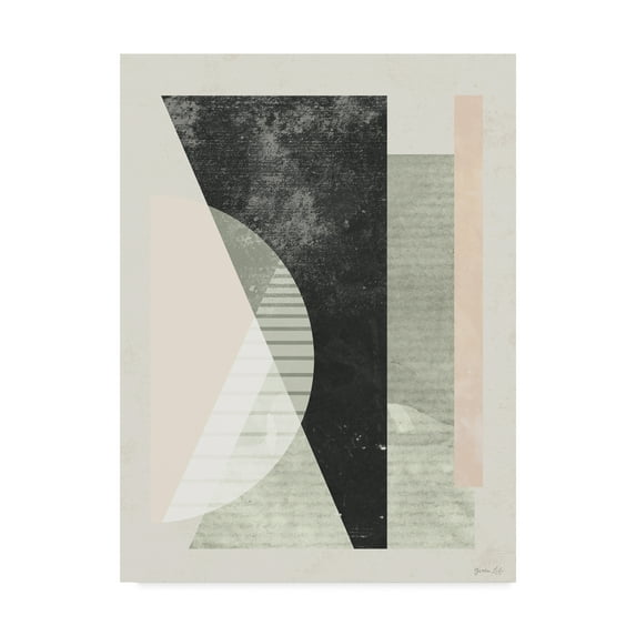 Trademark Fine Art 'Outside In VI' Canvas Art by Green Lili