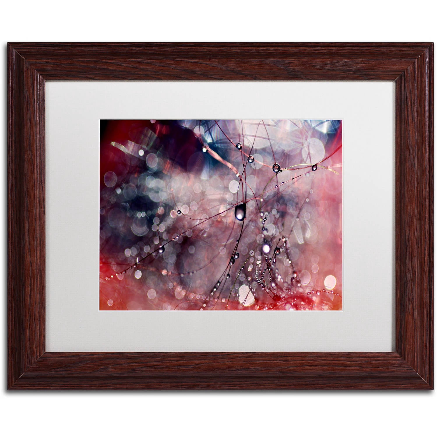Trademark Fine Art "Outside the Box" Canvas Art by Beata Czyzowska Young, White Matte, Wood Frame