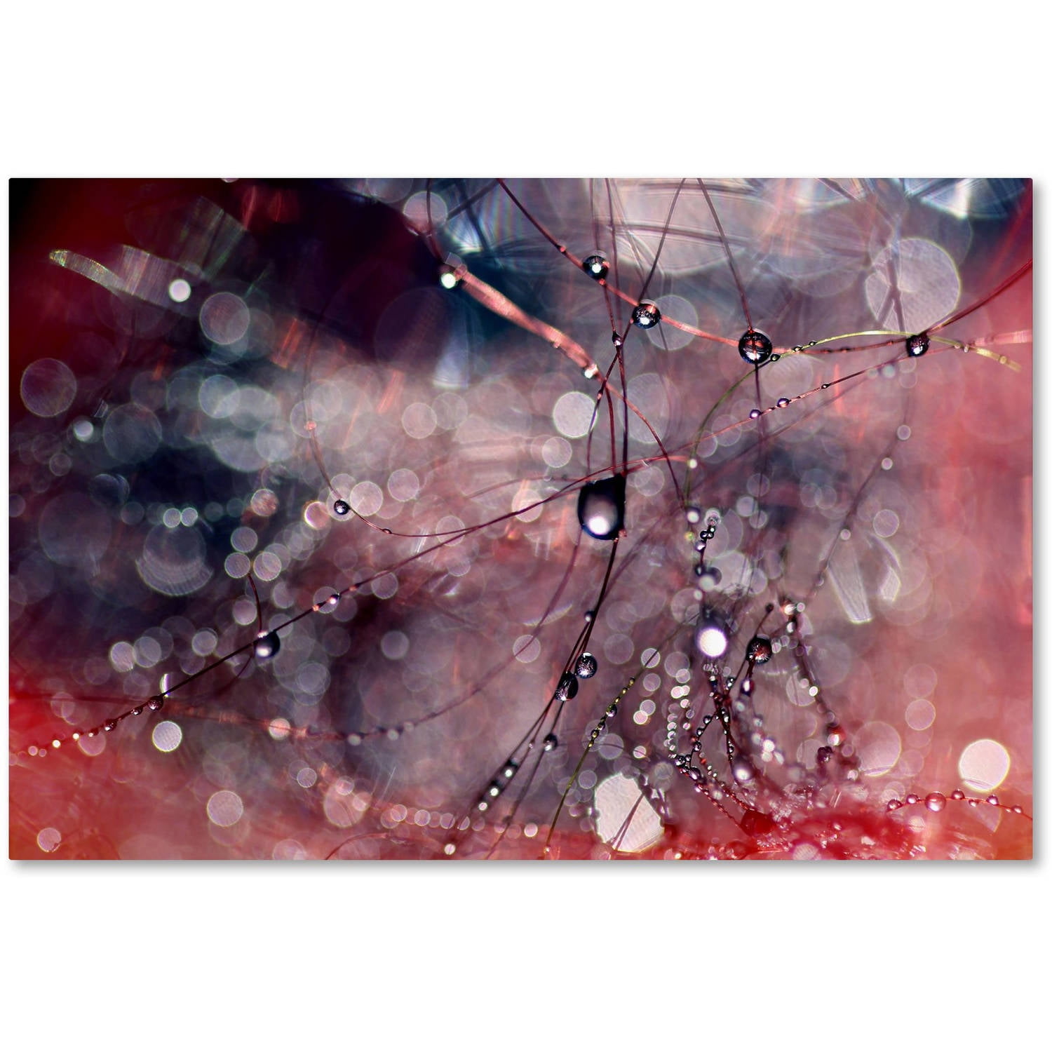 Trademark Fine Art "Outside the Box" Canvas Art by Beata Czyzowska Young