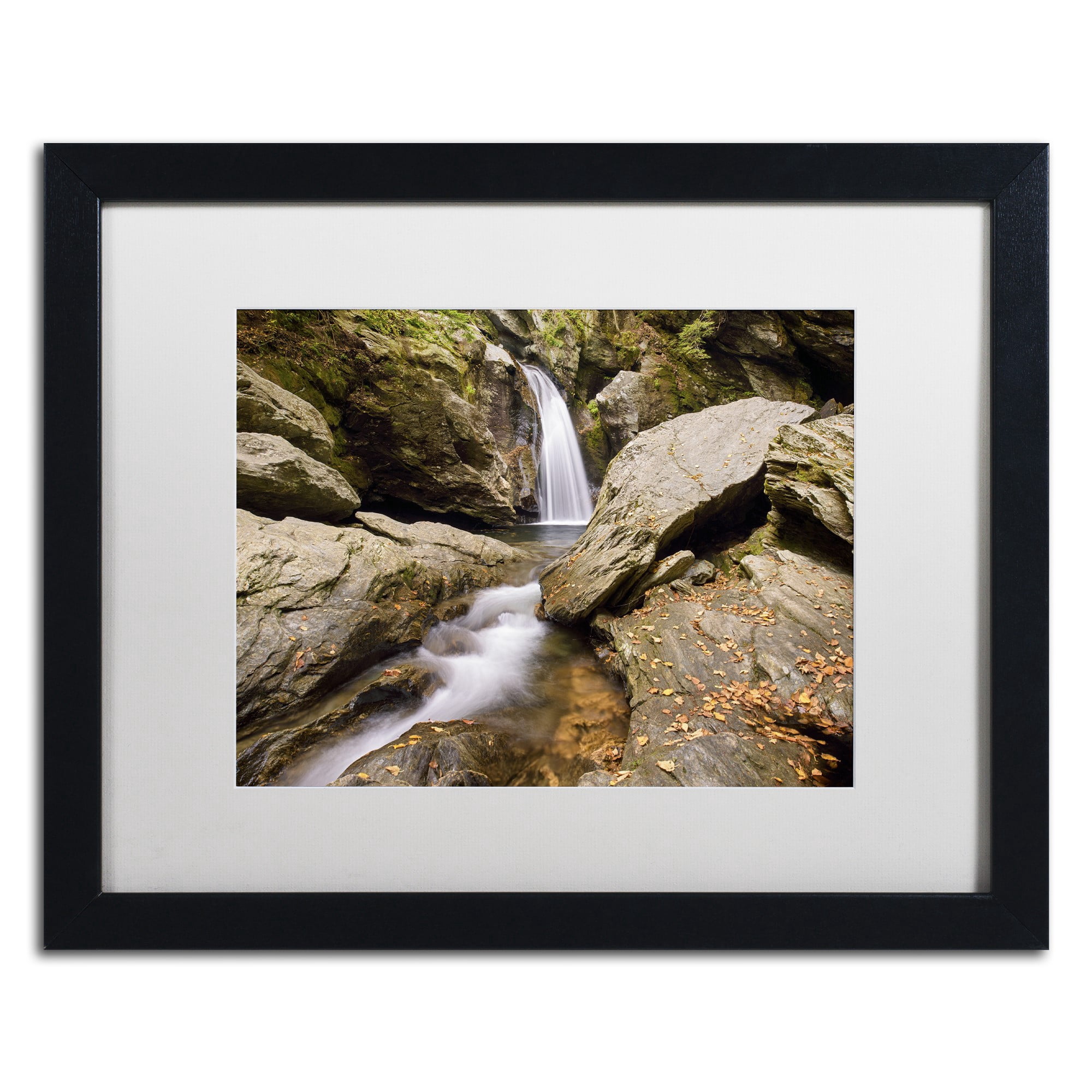 Trademark Fine Art 'Over and Under' Canvas Art by Michael Blanchette Photography, White Matte, Black Frame