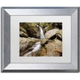 thumbnail image 1 of Trademark Fine Art 'Over and Under' Canvas Art by Michael Blanchette Photography, White Matte, Silver Frame, 1 of 1