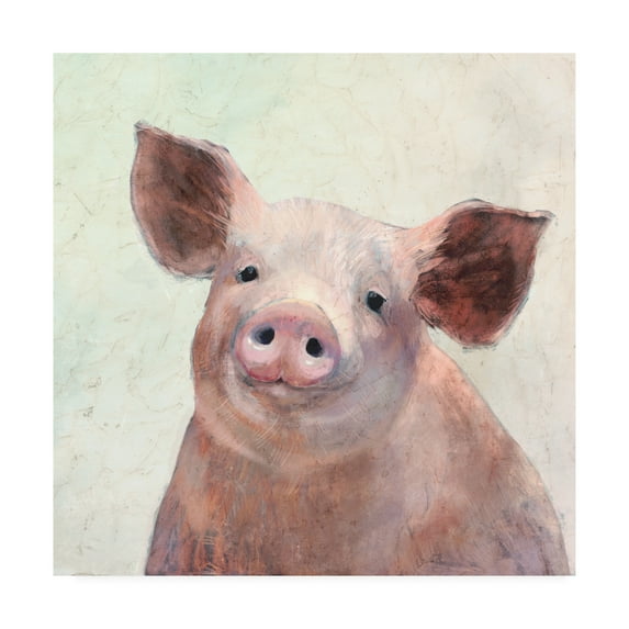 Trademark Fine Art 'Over the Gate III' Canvas Art by Victoria Borges