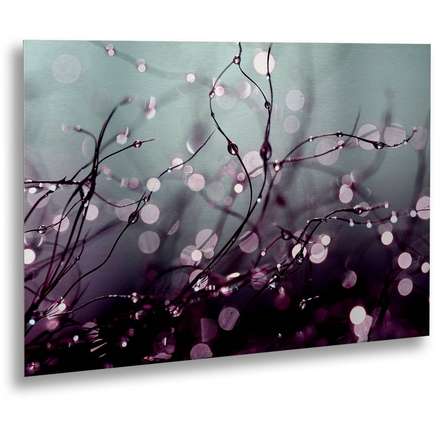 Trademark Fine Art "Over the Rainbow" Brushed Aluminum Wall Art Art by Beata Czyzowska Young 16" x 22"