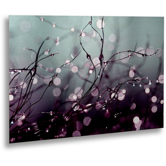 Trademark Fine Art "Over the Rainbow" Brushed Aluminum Wall Art Art by Beata Czyzowska Young 16" x 22"
