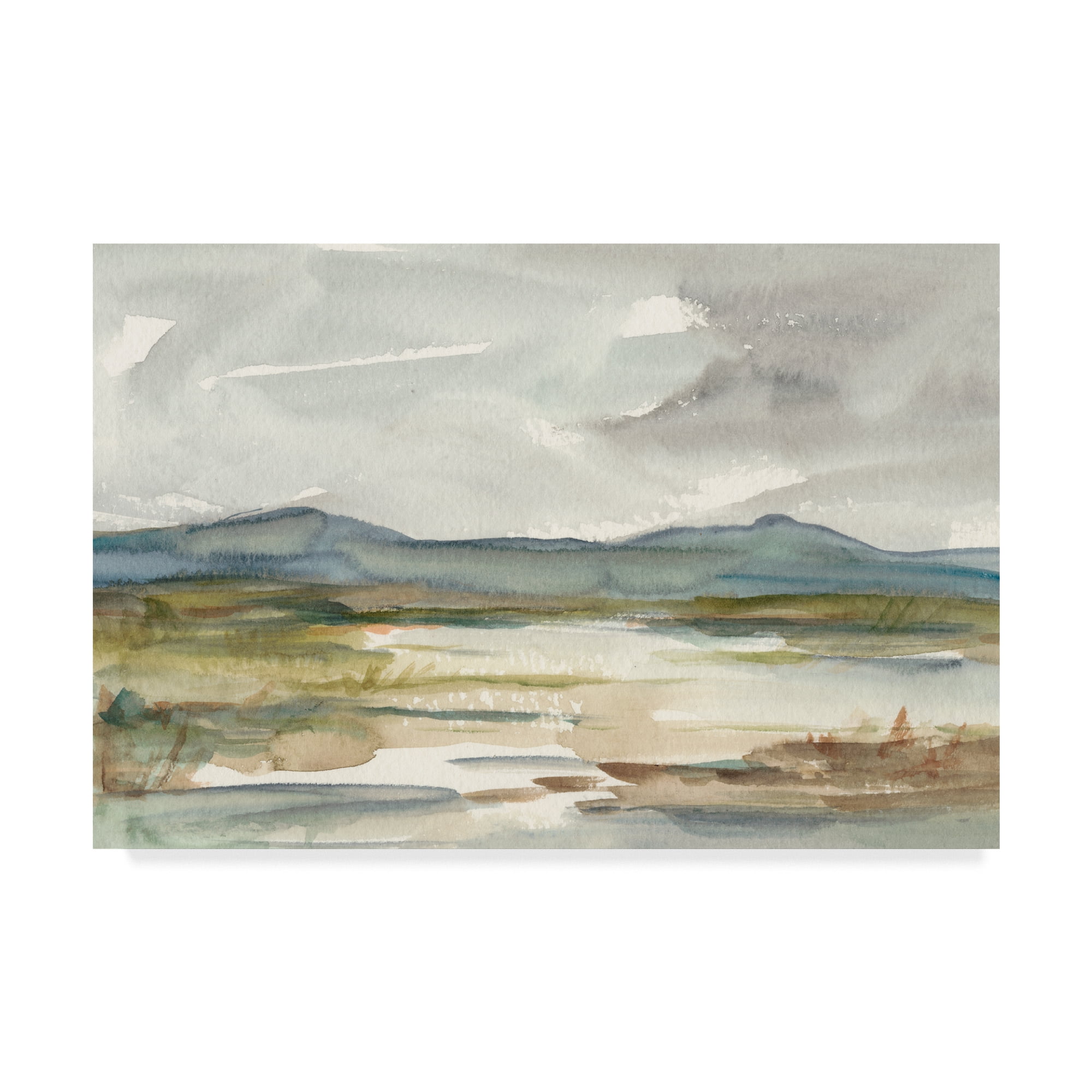 Trademark Fine Art 'Overcast Wetland I' Canvas Art by Ethan Harper