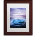 thumbnail image 1 of Trademark Fine Art 'Overjoyed' Canvas Art by Philippe Sainte-Laudy, White Matte, Wood Frame, 1 of 1