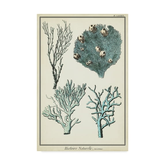 Trademark Fine Art 'Oversize Coral Species II' Canvas Art by Vision Studio