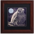 thumbnail image 1 of Trademark Fine Art "Owl 1" Canvas Art by Color Bakery Black Matte, Wood Frame, 1 of 1