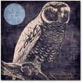 thumbnail image 1 of Trademark Fine Art "Owl 1" Canvas Art by Color Bakery, 1 of 4