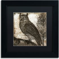 Trademark Fine Art "Owl 2" Canvas Art by Color Bakery Black Matte, Black Frame