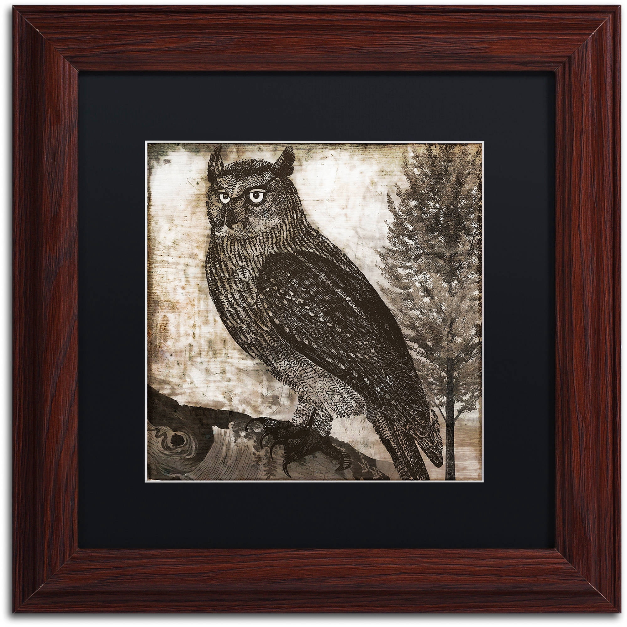 Trademark Fine Art "Owl 2" Canvas Art by Color Bakery Black Matte, Wood Frame