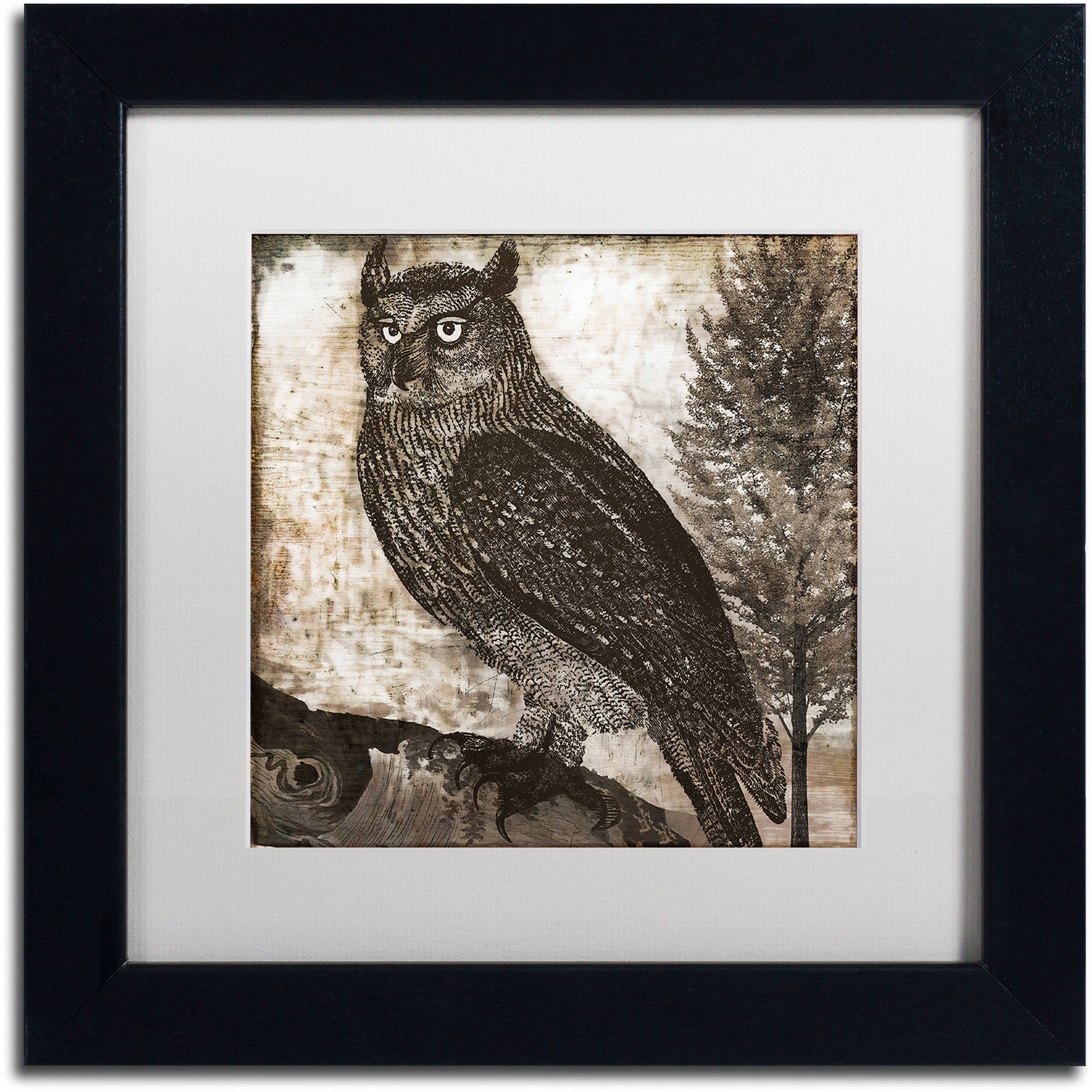Trademark Fine Art "Owl 2" Canvas Art by Color Bakery White Matte, Black Frame