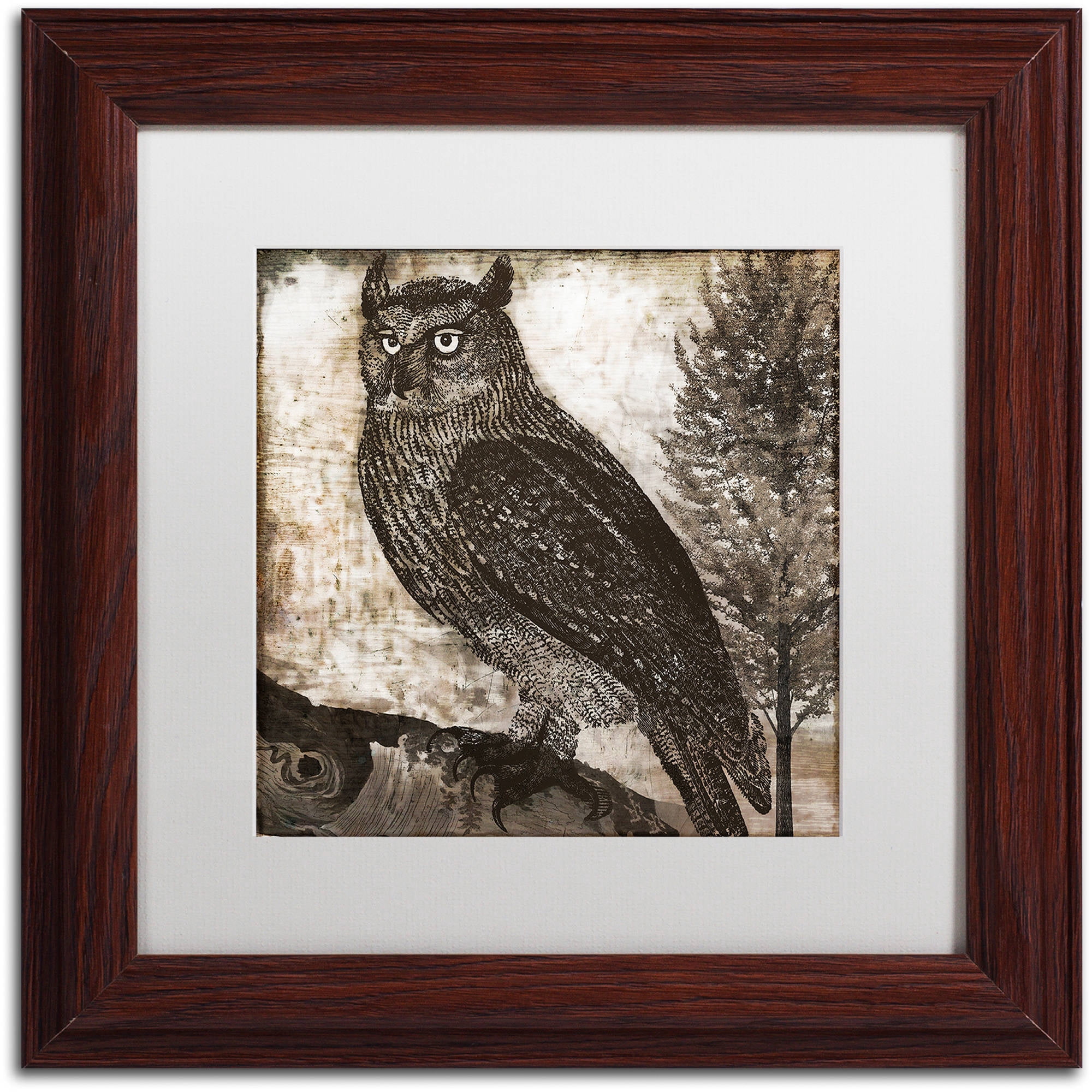 Trademark Fine Art "Owl 2" Canvas Art by Color Bakery White Matte, Wood Frame