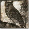 thumbnail image 1 of Trademark Fine Art "Owl 2" Canvas Art by Color Bakery, 1 of 4