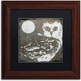 thumbnail image 1 of Trademark Fine Art "Owl 3" Canvas Art by Color Bakery Black Matte, Wood Frame, 1 of 1
