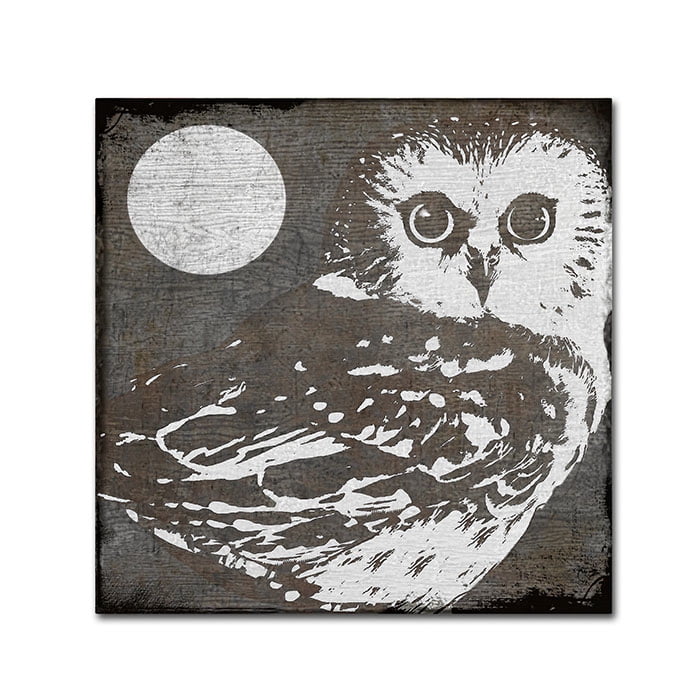 Trademark Fine Art "Owl 3" Canvas Art by Color Bakery