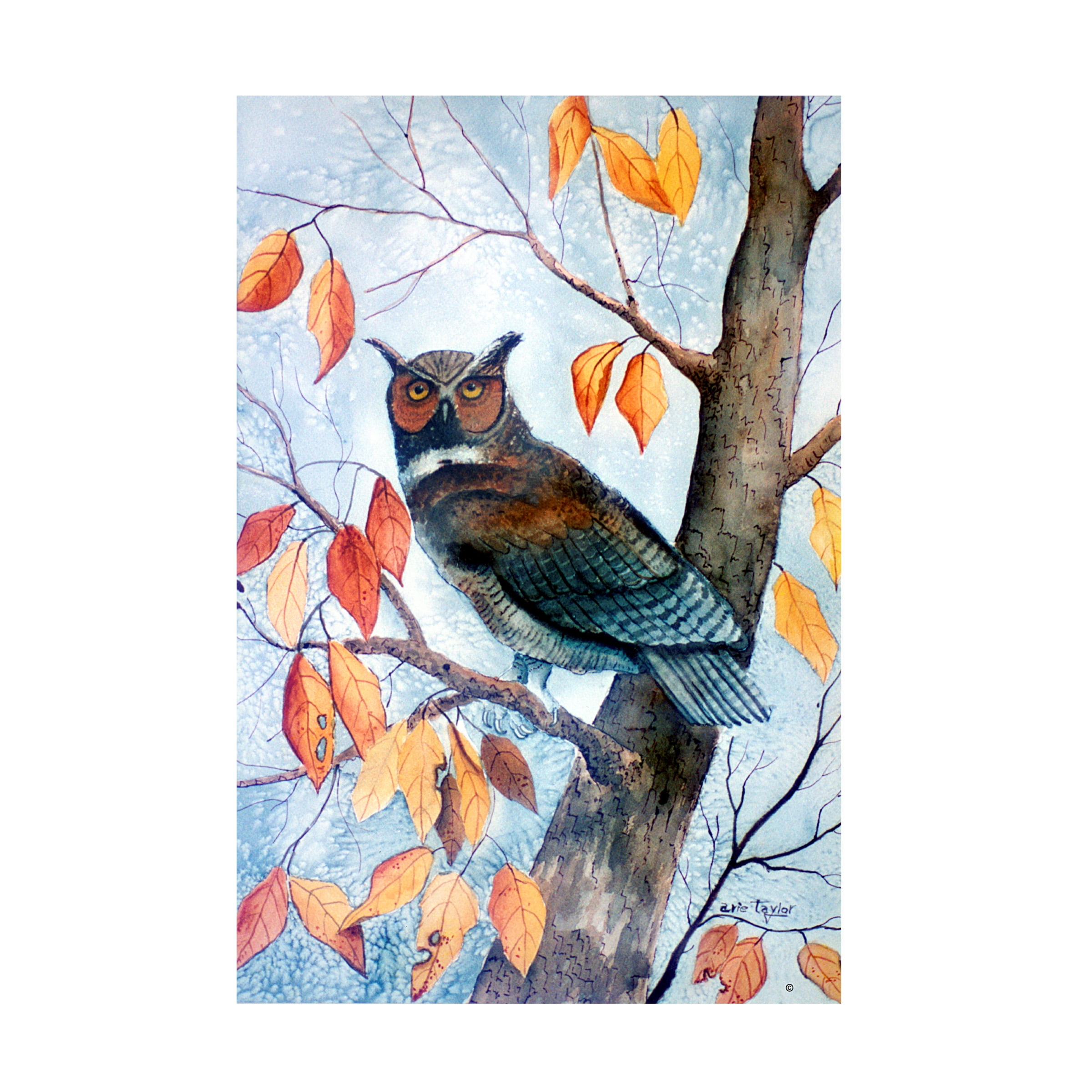 Trademark Fine Art 'Owl And Autumn Leaves' Canvas Art by Arie Reinhardt Taylor