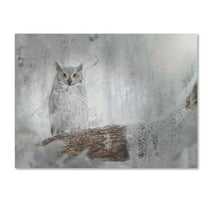 Trademark Fine Art 'Owl Dreams' Canvas Art by Patty Tuggle