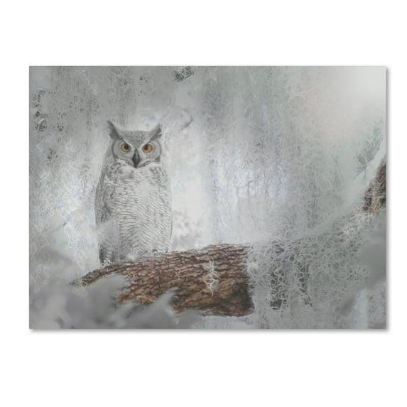 Trademark Fine Art 'Owl Dreams' Canvas Art by Patty Tuggle
