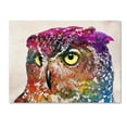 thumbnail image 1 of Trademark Fine Art 'Owl Drowing' Canvas Art by Mark Ashkenazi, 1 of 3