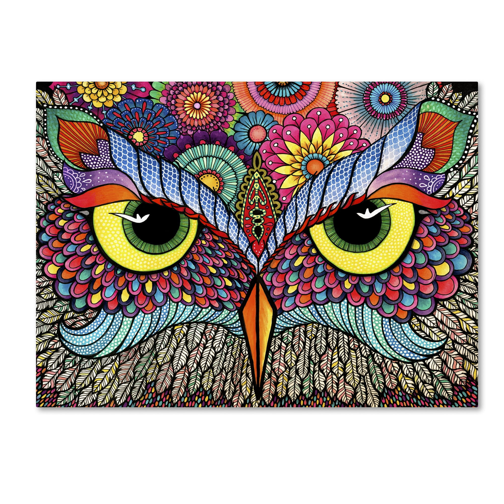Trademark Fine Art "Owl Face" Canvas Art by Hello Angel