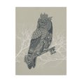 thumbnail image 1 of Trademark Fine Art 'Owl King' Canvas Art by Rachel Caldwell, 1 of 3