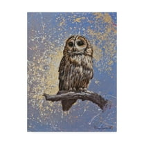 Trademark Fine Art 'Owl Over Background' Canvas Art by Michael Jackson