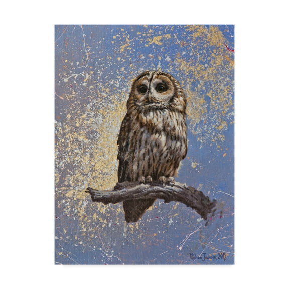 Trademark Fine Art 'Owl Over Background' Canvas Art by Michael Jackson