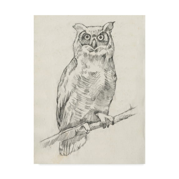 Trademark Fine Art 'Owl Portrait I' Canvas Art by Jennifer Goldberger