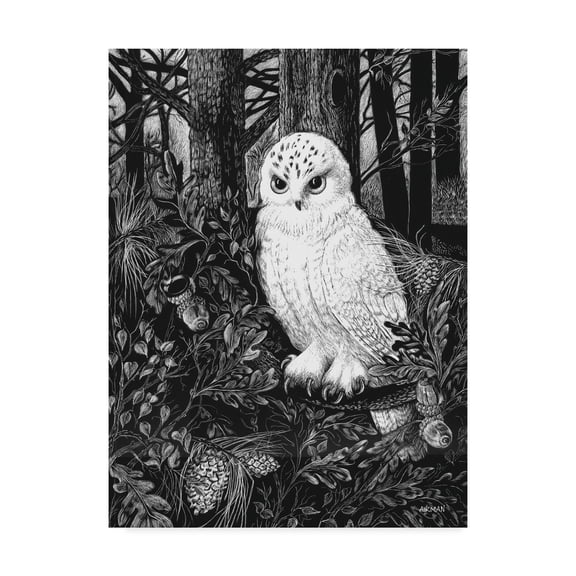 Trademark Fine Art 'Owl White' Canvas Art by Geraldine Aikman