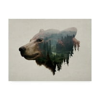 Trademark Fine Art 'Pacific Northwest Black Bear' Canvas Art by Davies Babies