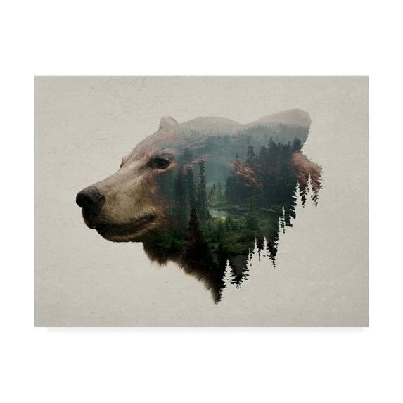 Trademark Fine Art 'Pacific Northwest Black Bear' Canvas Art by Davies Babies